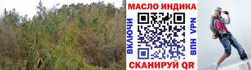 ТГК THC oil  Аткарск 