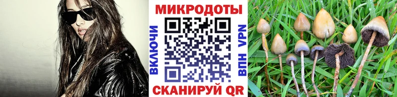 купить закладку  Аткарск  Галлюциногенные грибы прущие грибы 